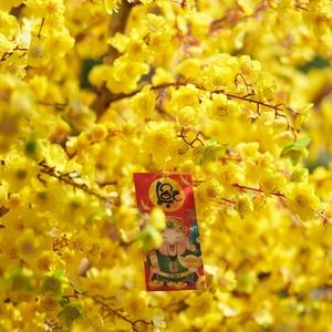 Meet your Posher, Marian